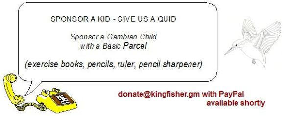 donate@kingfisher.gm